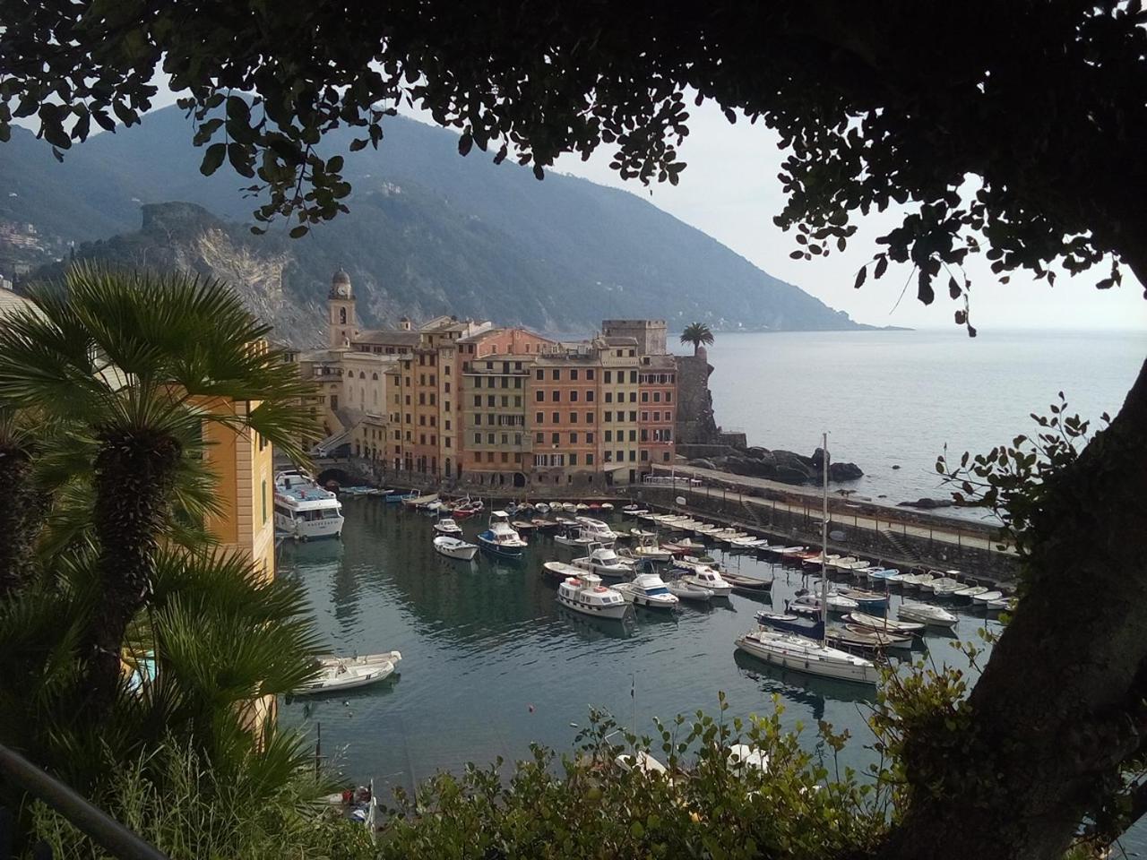 Casa Teresina A Camogli Apartment ภายนอก รูปภาพ